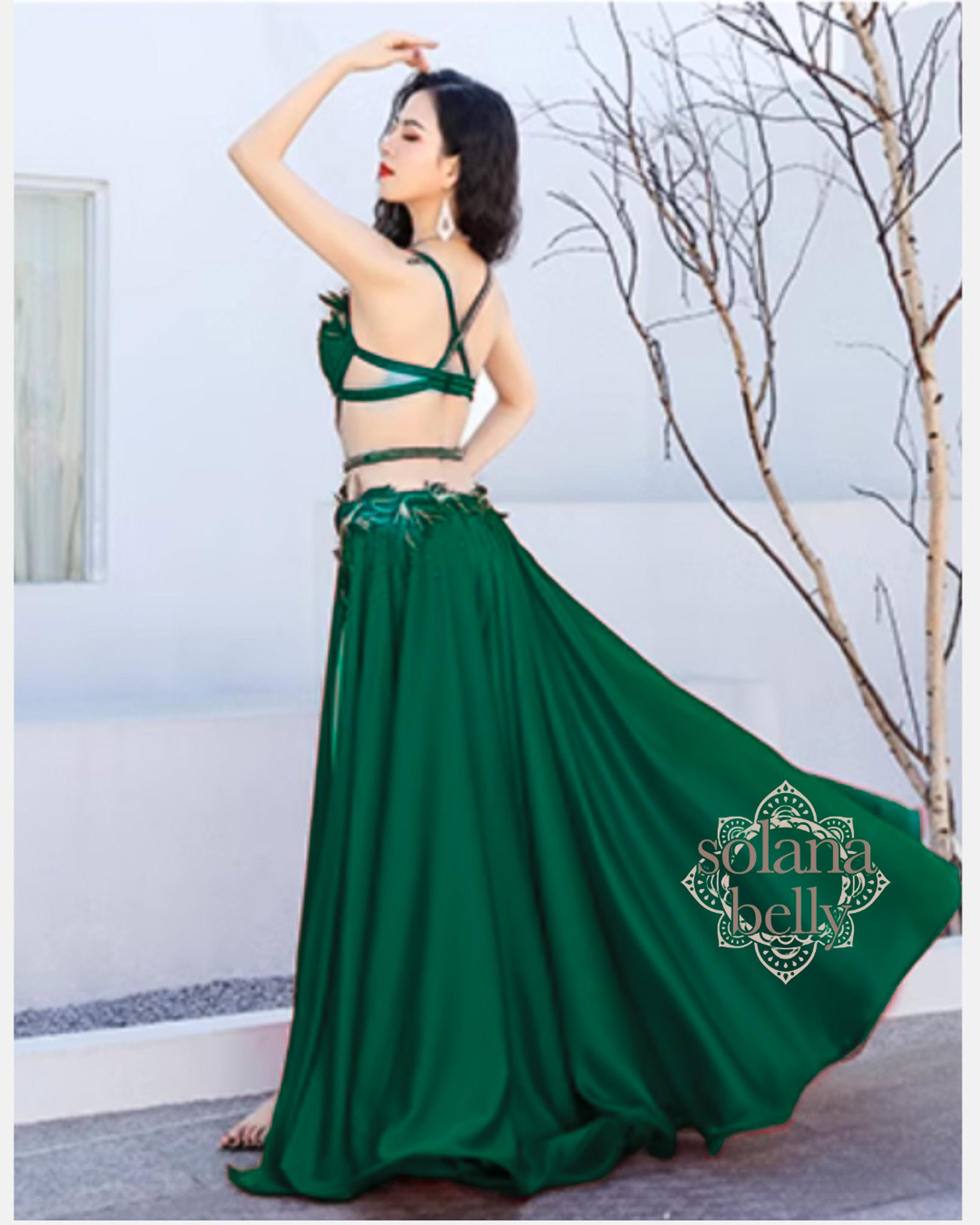 送料無料】 即納 ベリーダンス オリエンタル 衣装 ベリーダンス衣装