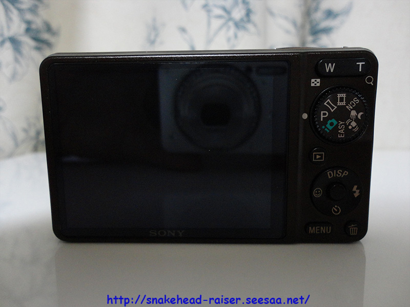 コンデジ名機SONYソニーDSC-WX1を熱帯魚撮影に購入！！: スネーク