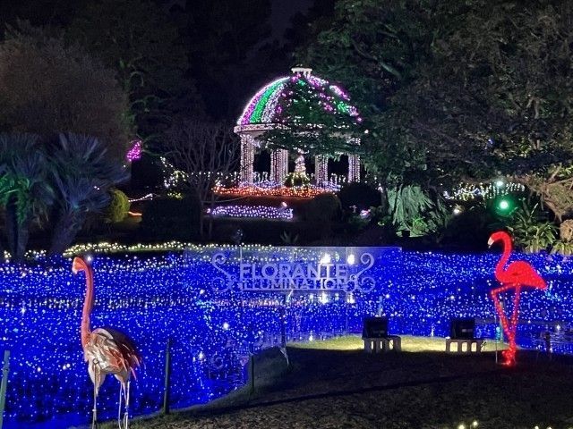 フローランテ宮崎 イルミネーション・フラワーガーデン2025～音楽と