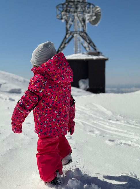 スノーボード ウェア バートン BURTON Hillslope 2L Jacket Wildcat