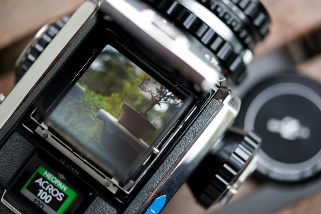 ZENZA BRONICA C2 の試し撮り | Spice Tea