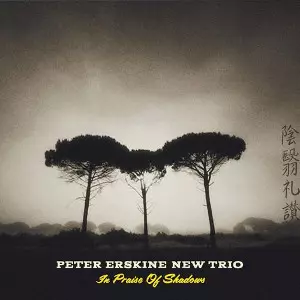 PETER ERSKINE / ピーター・アースキン商品一覧｜JAZZ｜ディスク