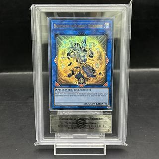 Noritoshi」の激安通販 | magi