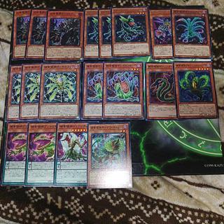 捕食植物 デッキ」の激安通販 | magi