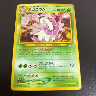 メガニウム プレミアムファイル 旧裏」の激安通販 | magi