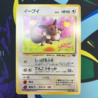 旧裏 イーブイ」の激安通販 | magi