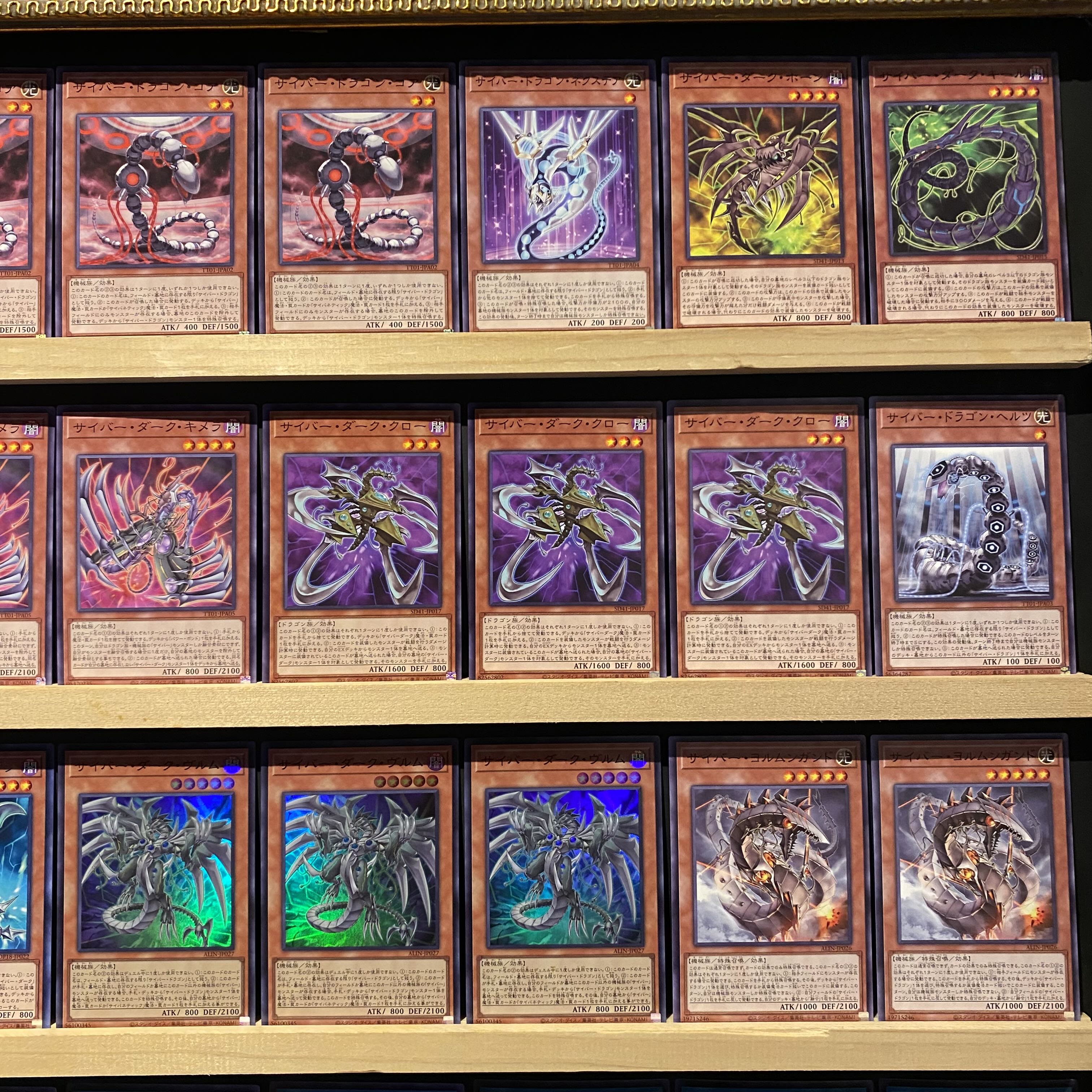 即日発送！【サイバーダーク】デッキ 遊戯王 サイバー・ダーク・ヴルム