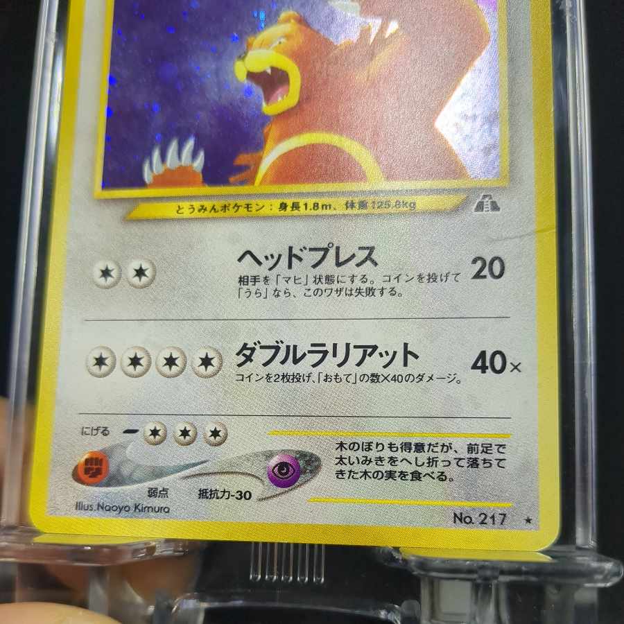 62 リングマ 旧裏 表EX 裏EX 1枚の通販 ペンギンショップ（728507497