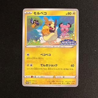 モルペコ プロモ」の激安通販 | magi