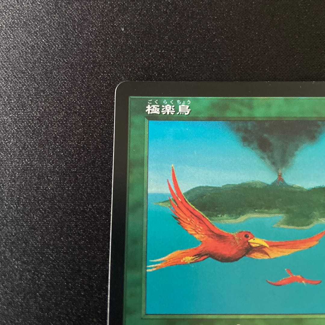 MTG 極楽鳥foil 美品 1枚の通販 コレクト（1803749518） | magi