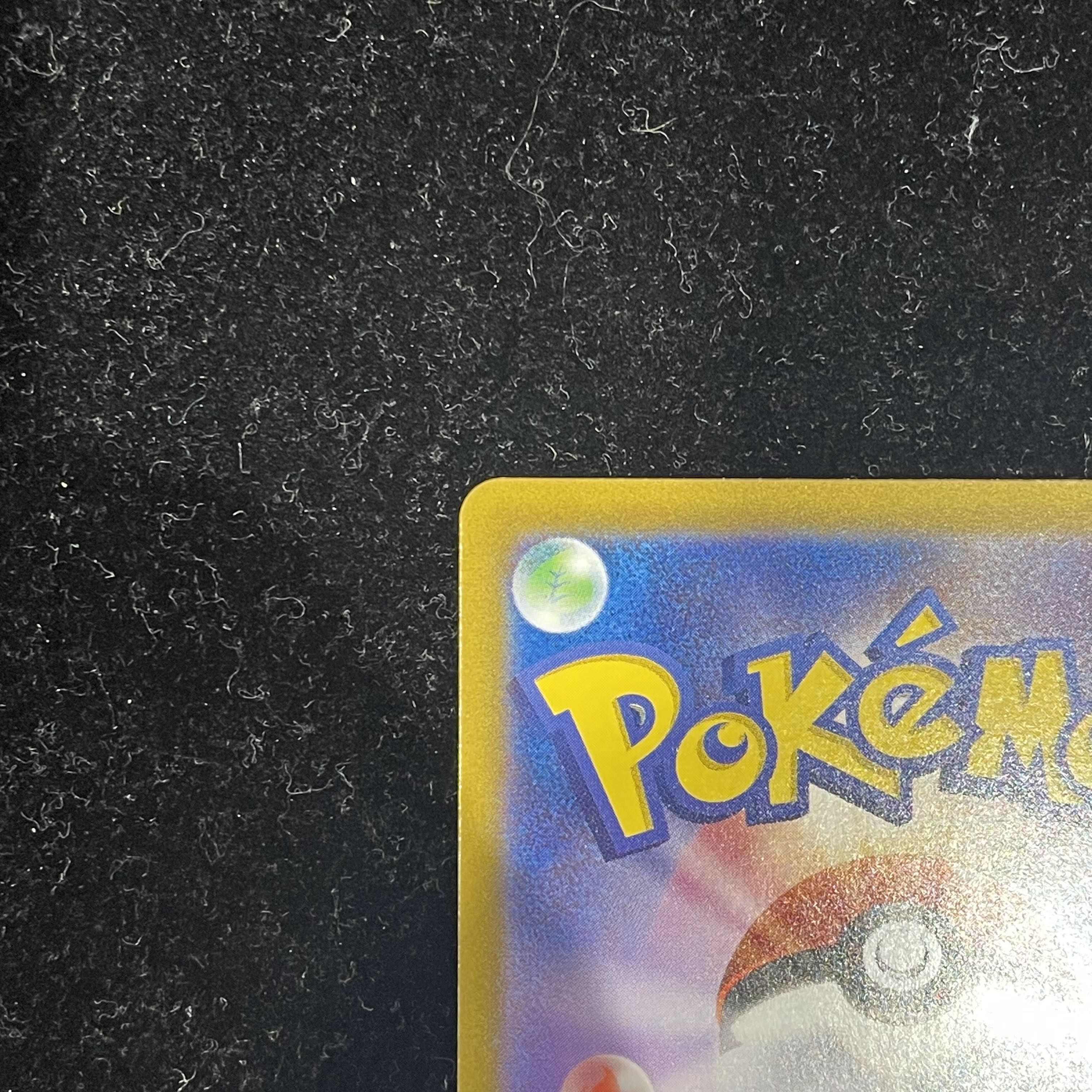 ロケット団のミュウツーex SAR 125/098 1枚の通販 土日祝休@magi公式