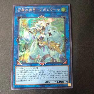 アポロウーサ」の激安通販 | magi