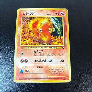 旧裏 ヒトカゲ」の激安通販 | magi