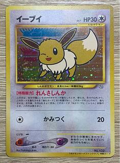 イーブイ プロモ」の激安通販 | magi