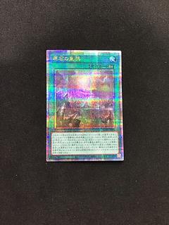 原石の皇脈 25」の激安通販 | magi