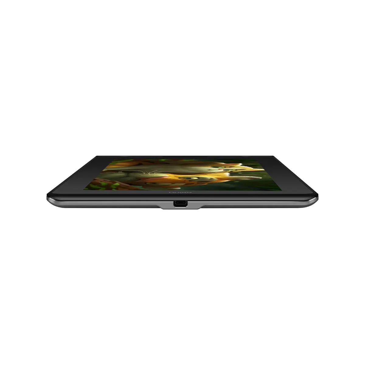Kamvas Pro 13 Graphic 13.3-inch Drawing Pen Display | Huion