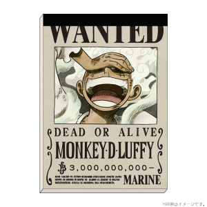 ワンピース】手配書クリアファイル バギー 31億8900万