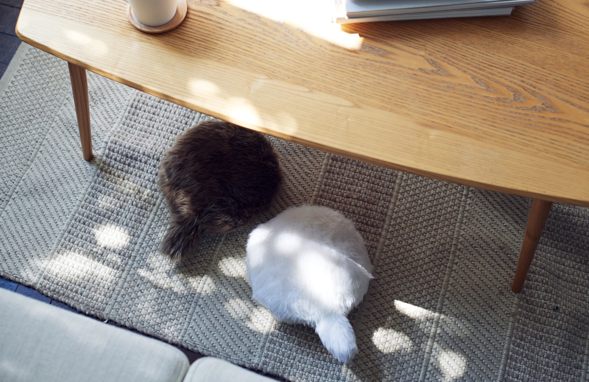 公式ストア】Petit Qoobo（プチ・クーボ）心を癒やす、小さなしっぽ