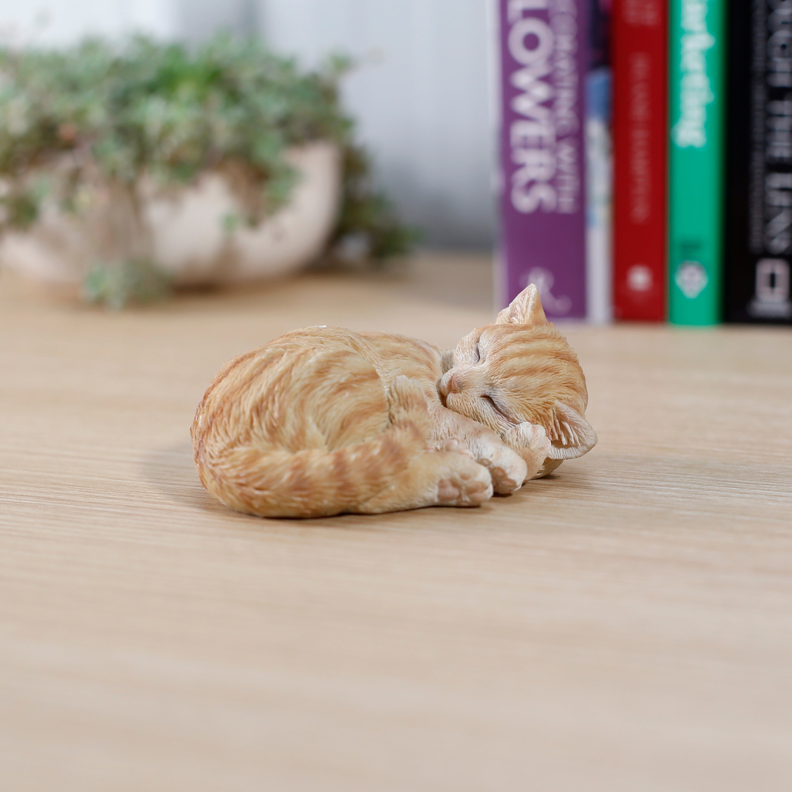 すやすや～茶トラ猫｜WooBia公式オンラインショップ – WooBia