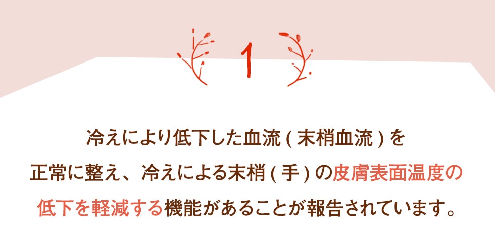 HAKKANスティック: LAVA公式オンラインストアLapre｜LAVA公式