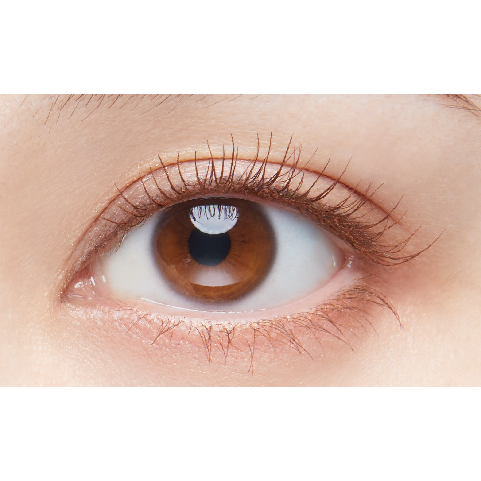 1_mascara_pec_cemelb.png?v=