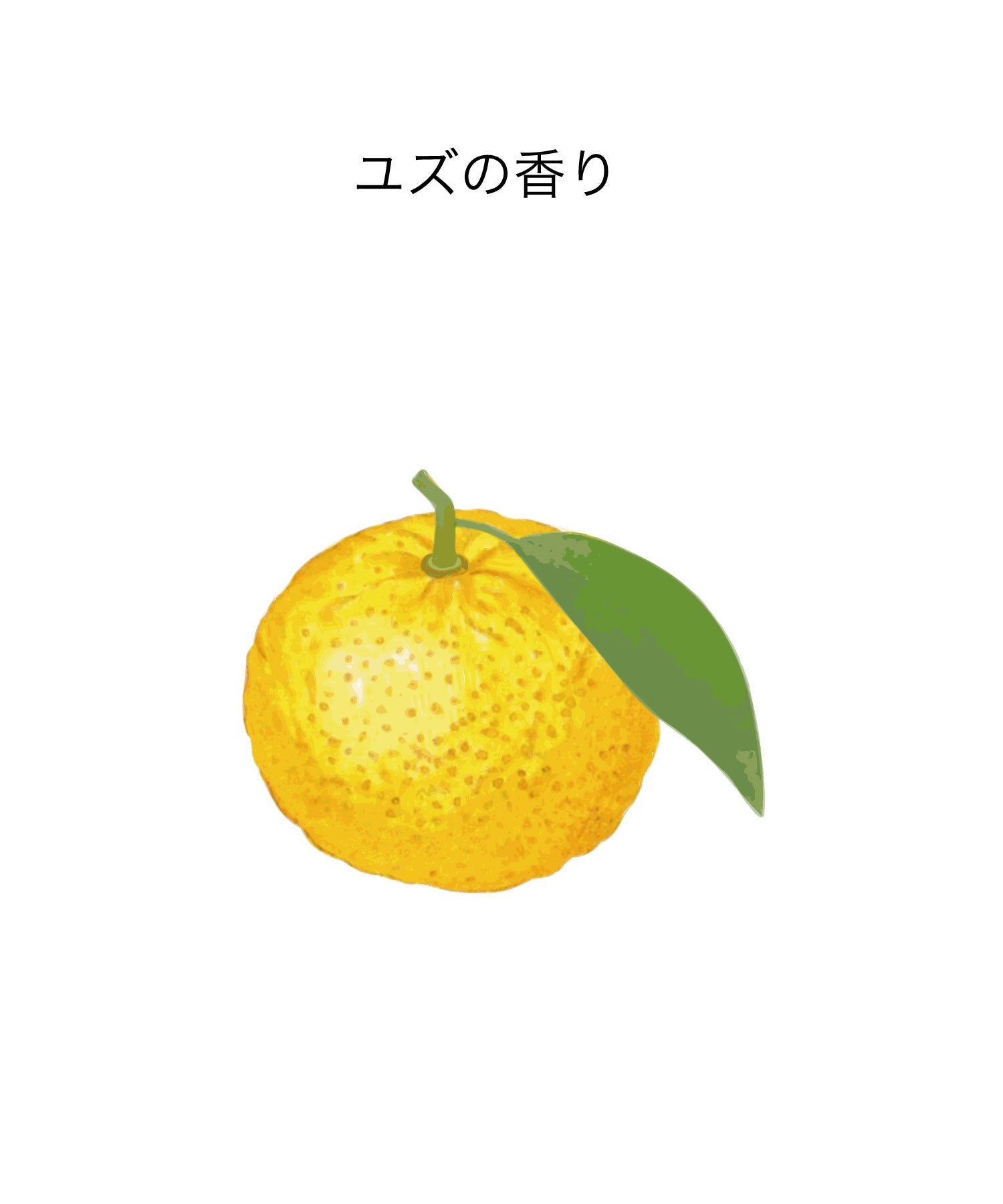 track バーム｜ユズ – JoelRoty Online Store