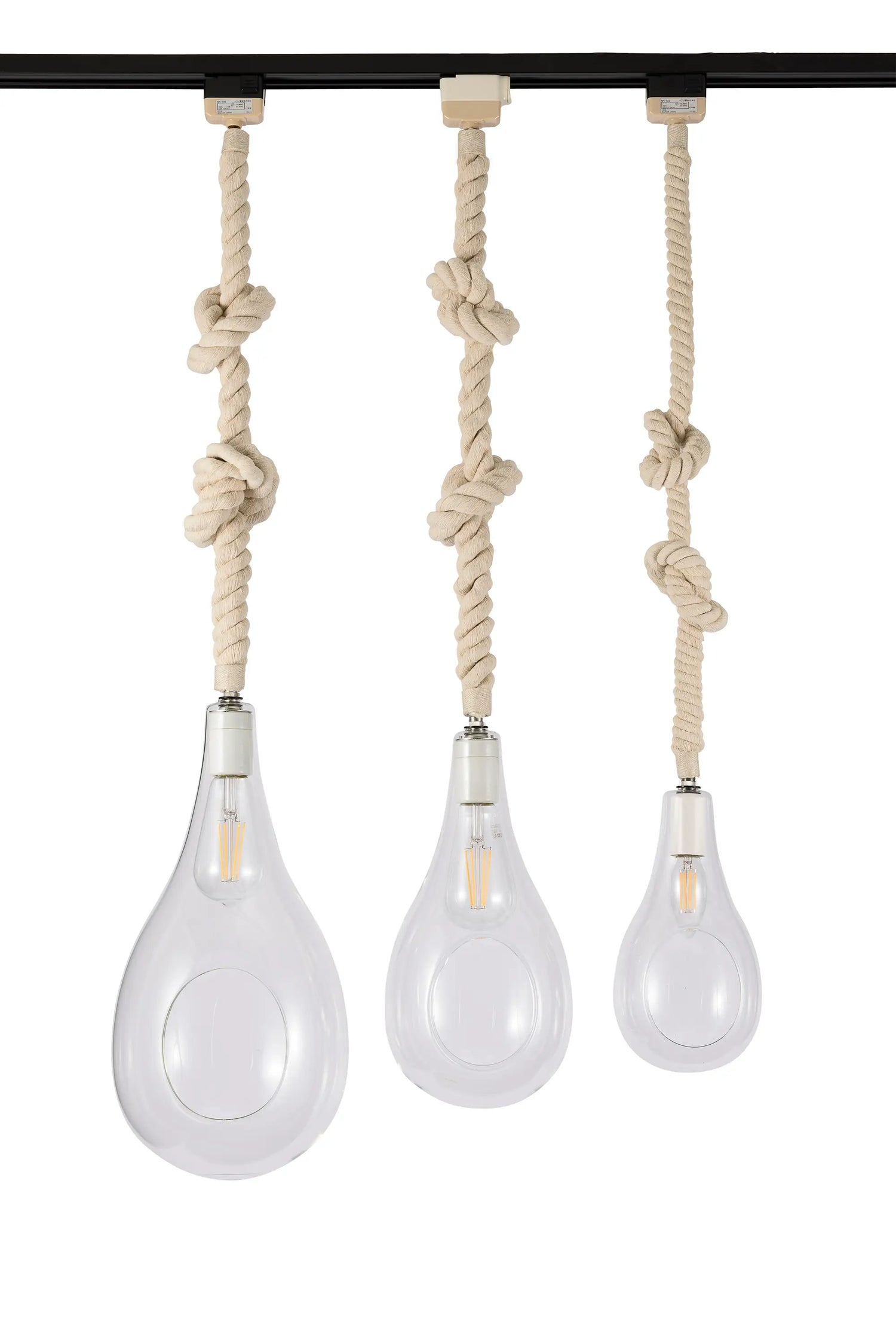 BOTANIC HANGING LIGHT – SWAN ONLINE STORE