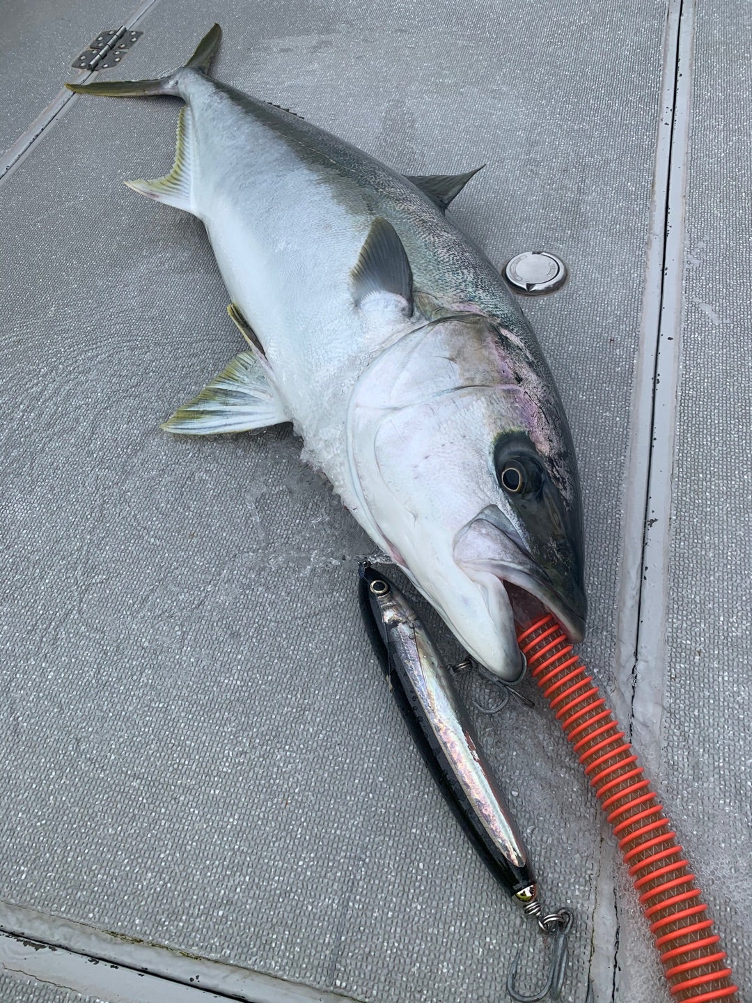 舞姫160 プロト 完成 | カーペンタールアー、ロッド研究室