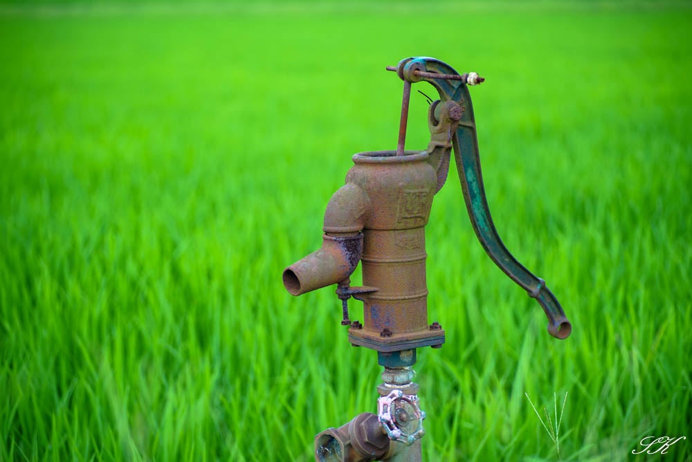 TOKINA AT-X 60-120mm F2.8（AT-X120) | SKの寫眞機道楽