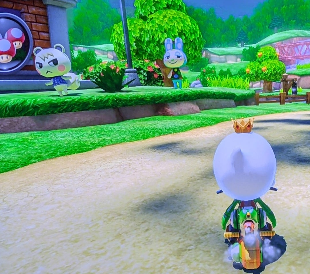 あつ森 マリオカート8のどうぶつカップ | ルビコンが渡れない