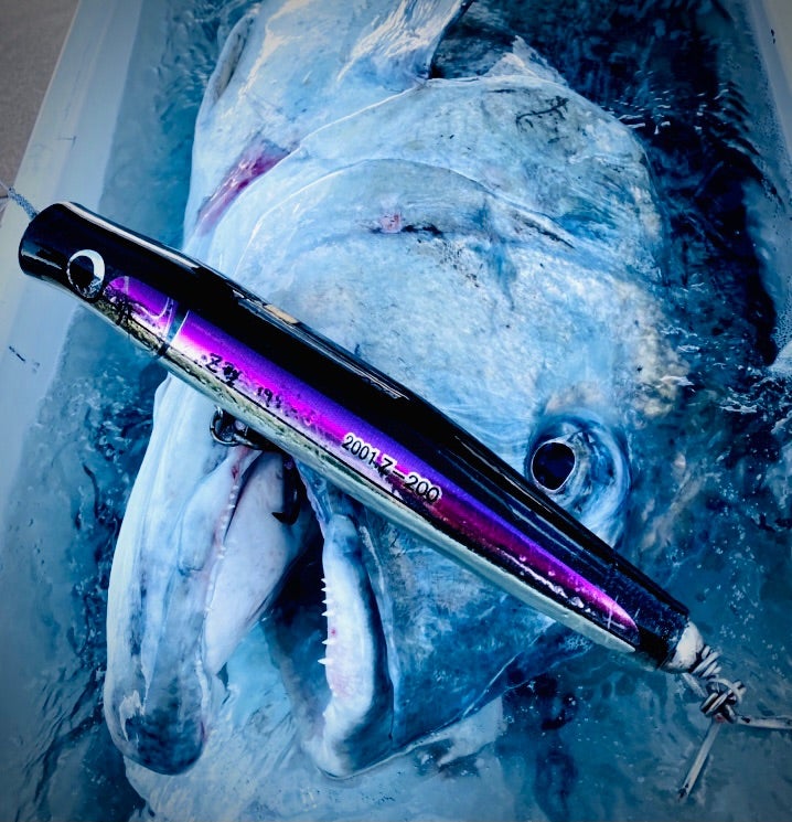 歌姫200g | カーペンタールアー、ロッド研究室