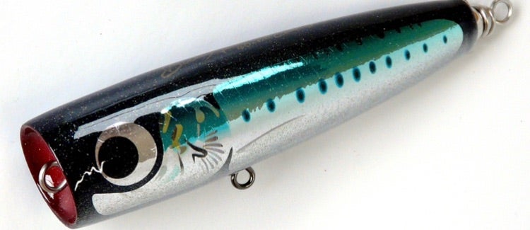 ブルーヘリング、フランスパンjr. | カーペンタールアー、ロッド研究室