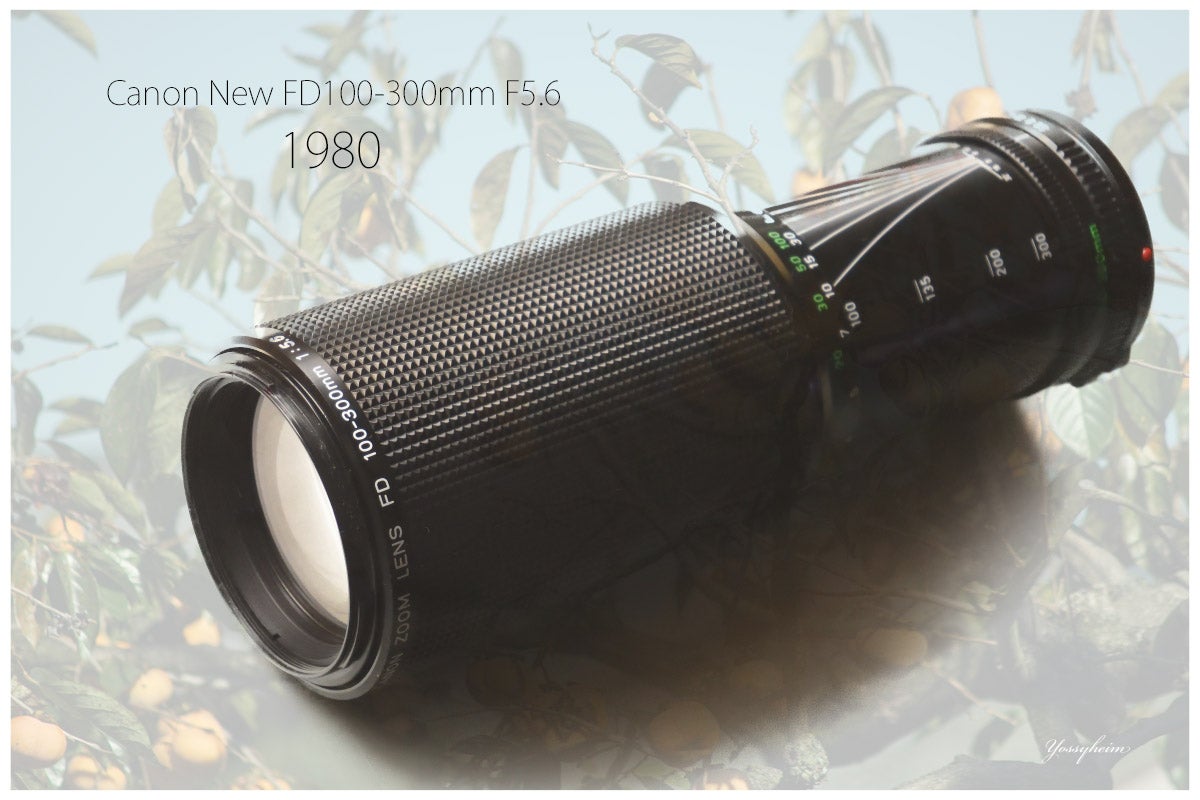 望遠ズーム「Canon New FD100-300mm F5.6」を分解・清掃・作例