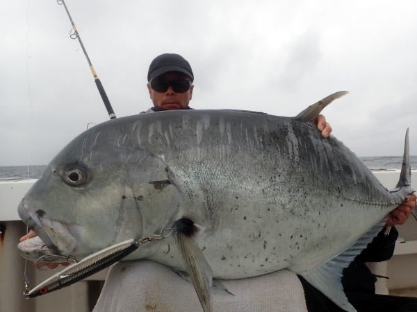 ☆特別販売☆ KLL 027 ダーティング トーピード | カーペンタールアー