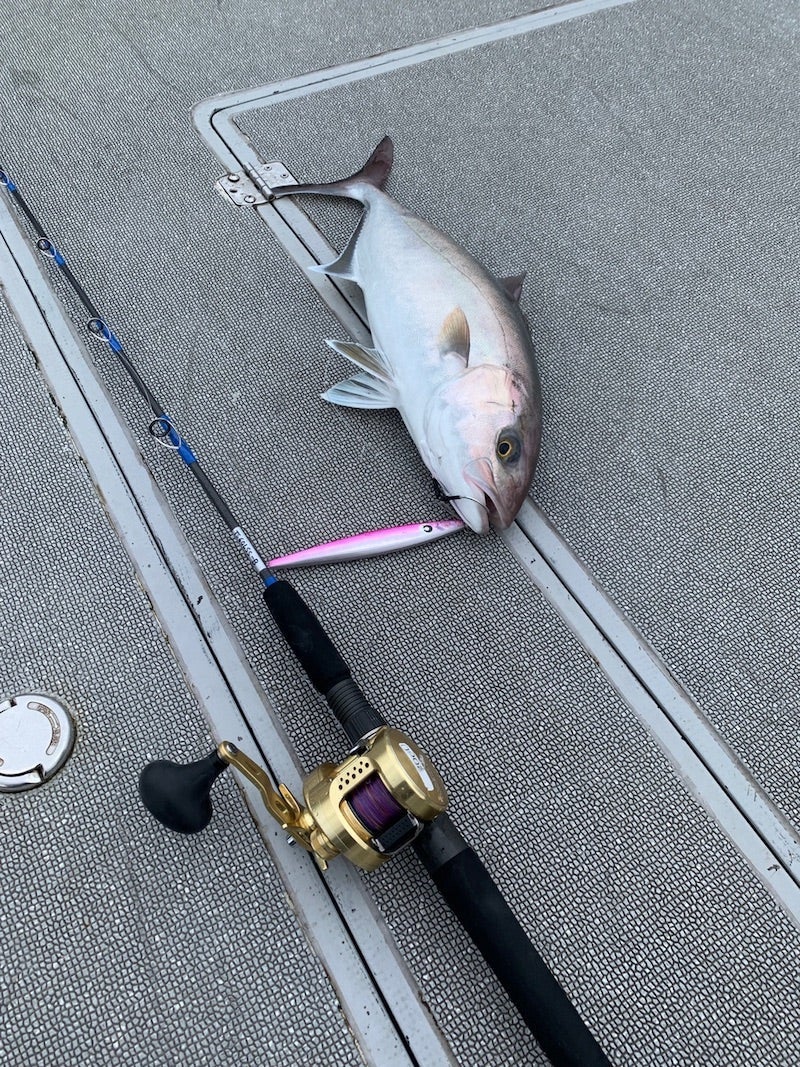 サンダーストラック ジギングロッド | カーペンタールアー、ロッド研究室