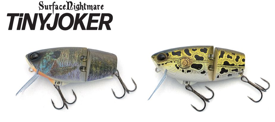 釣り | 石井館長のバス魂