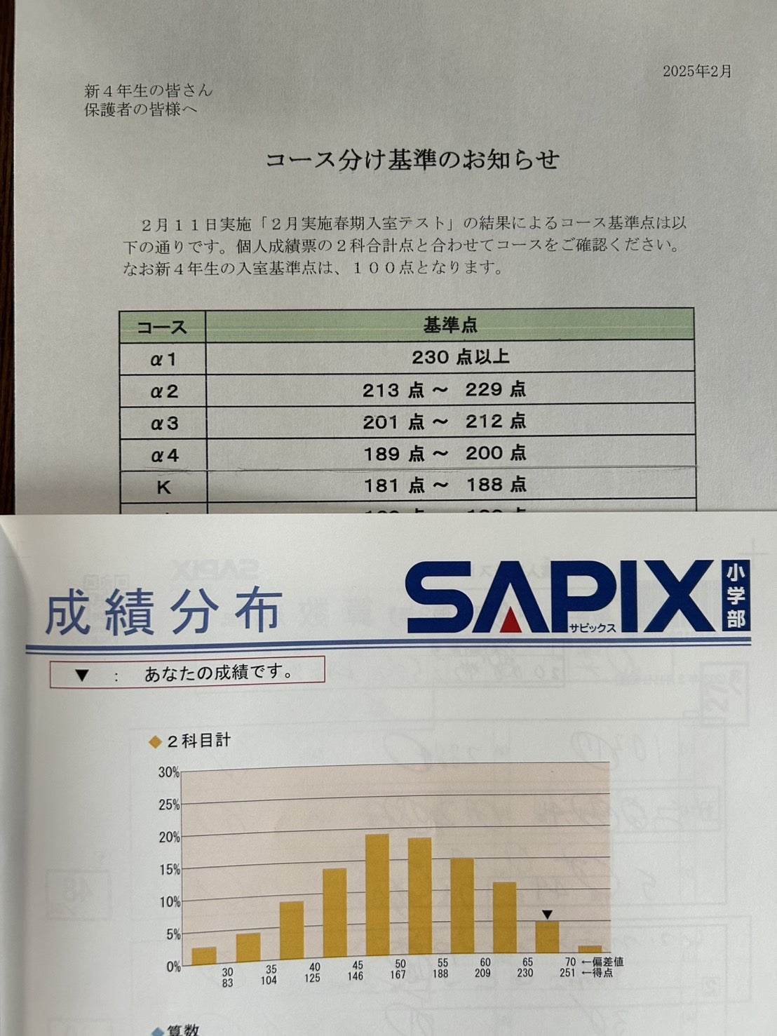 SAPIX4年入室・マンスリー・組分け・復習・サピックスオープン1年分(13