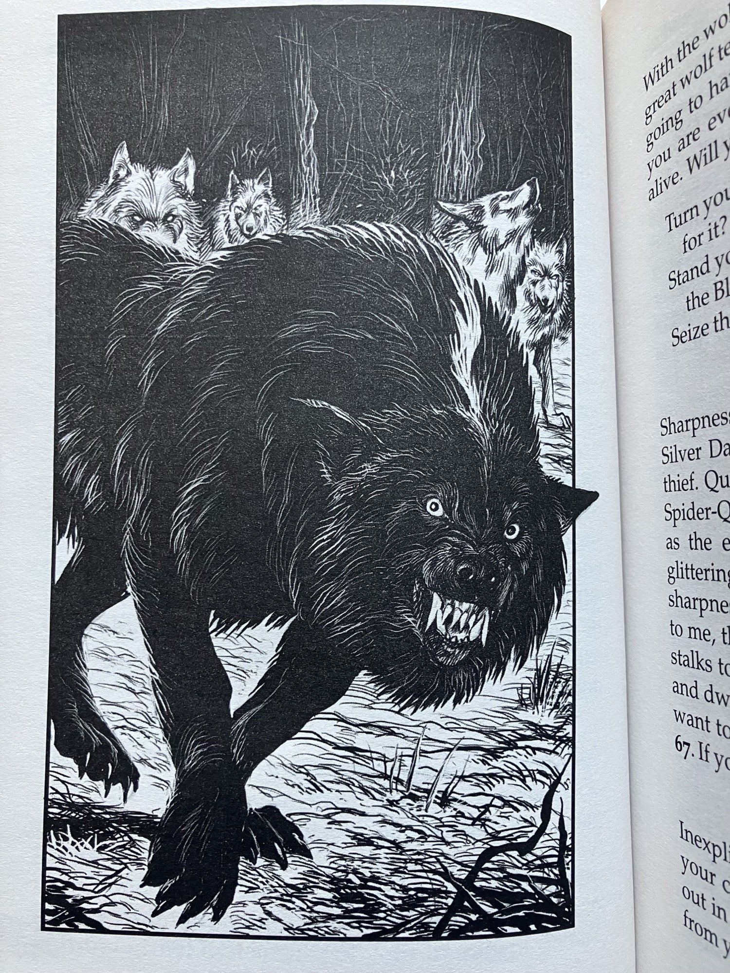 ゲームブックの世界：コレクションBOX第5弾着弾 | risinggames999のブログ