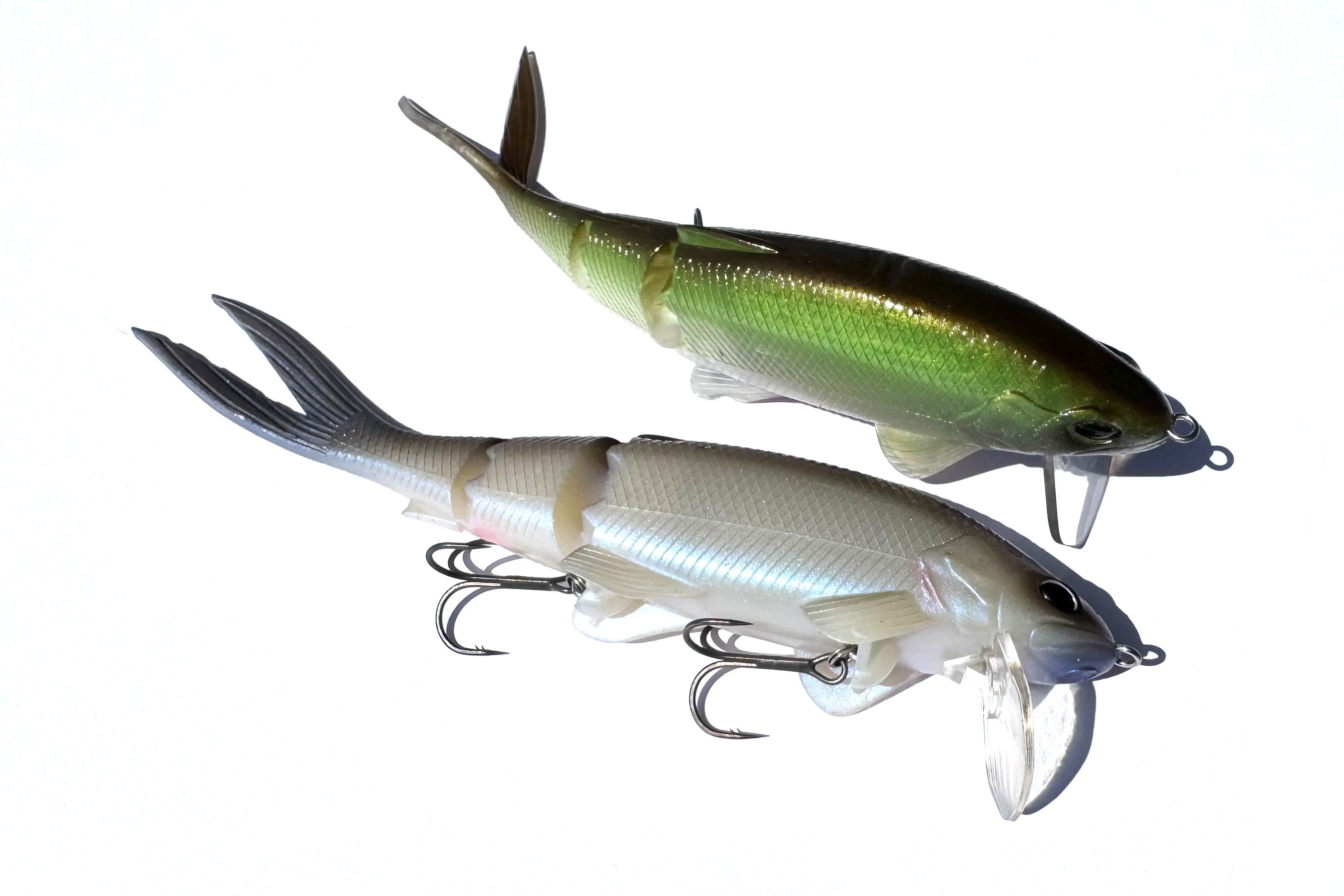 バス釣り | 石井館長のバス魂