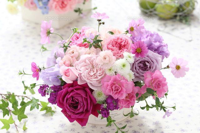 紫とピンクのフラワーアレンジメント[21002003279]の写真・イラスト