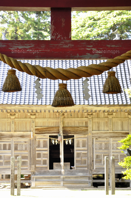 神社の鳥居のしめ縄[32203004729]の写真・イラスト素材｜アマナイメージズ