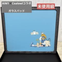 未使用級】 coalowl x AIM1 叢雲 - メルカリ