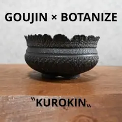 2026年最新】goujin 鉢の人気アイテム - メルカリ