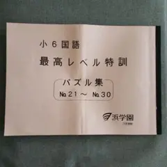 2026年最新】浜学園 小6 最高レベル特訓 テキストの人気アイテム