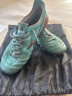 2026年最新】モレリアネオ3 アズールブルーの人気アイテム - メルカリ