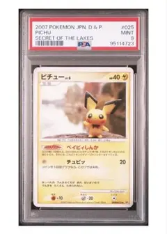 2026年最新】ピチュー ベイビィしんかの人気アイテム - メルカリ
