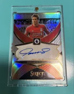 2026年最新】フェルナンドトーレス サインの人気アイテム - メルカリ