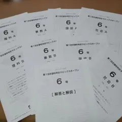 2026年最新】サピックス テキスト 6年の人気アイテム - メルカリ