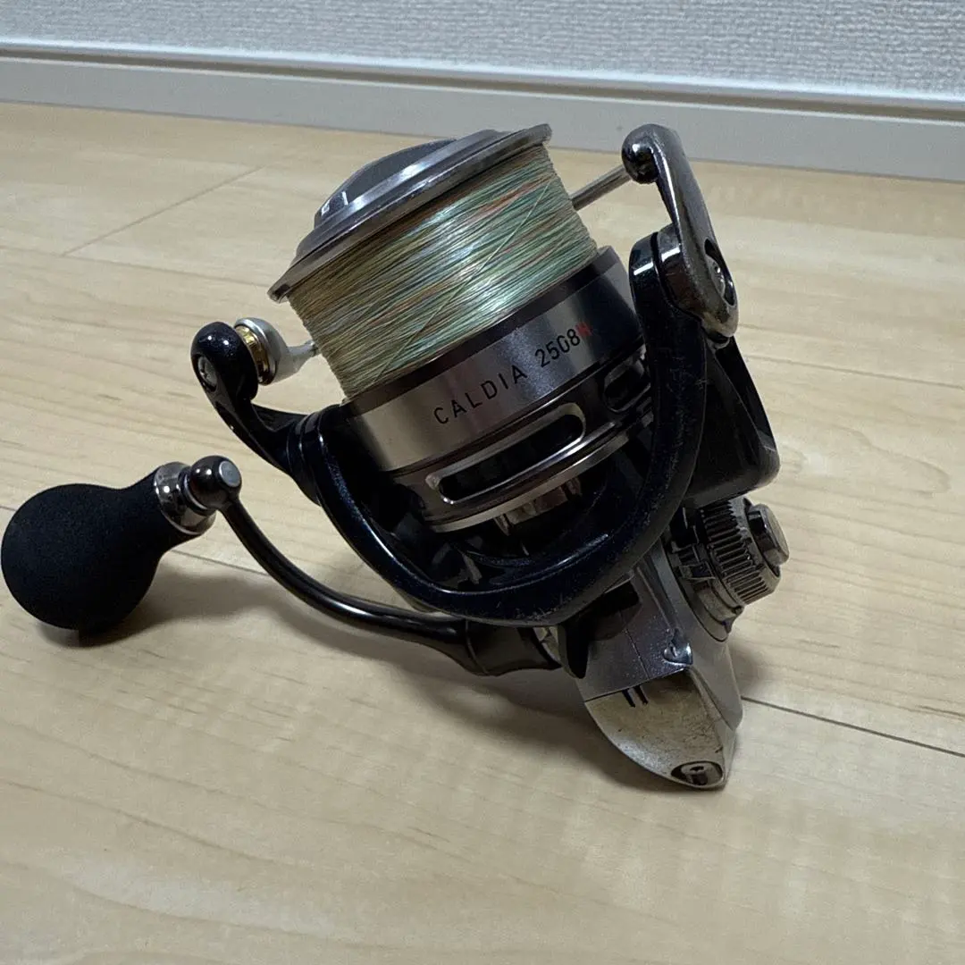 2026年最新】DAIWA CALDIA 2508Hの人気アイテム - メルカリ