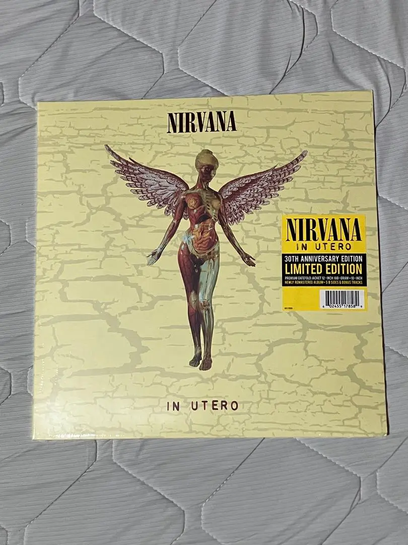 2026年最新】nirvana in utero レコードの人気アイテム - メルカリ